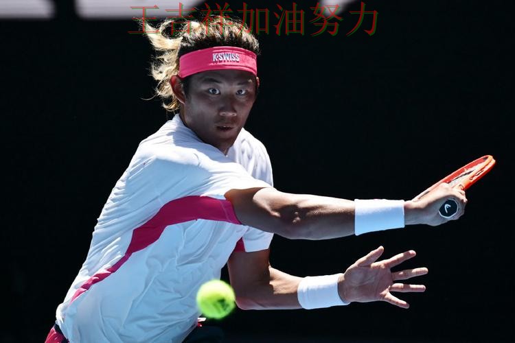 WTA巡回赛阵容变化盘点：张之臻表现抢眼 引发球迷持续关注